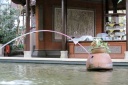 IMG_0071u