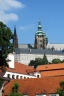 IMG_0437u