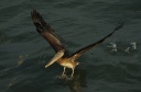 20110913-DSC_0654