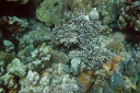 IMG_4082u