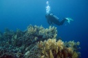 IMG_4094u